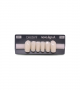 NOVO LIGN A VENEER ANT T35 LOWER B1 6 pc ASST 33, 32, 31, 41, 42, 43