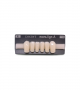 NOVO LIGN A VENEER ANT T35 LOWER B2 6 pc ASST 33, 32, 31, 41, 42, 43