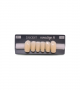 NOVO LIGN A VENEER ANT T35 LOWER B3 6 pc ASST 33, 32, 31, 41, 42, 43
