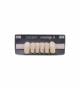 NOVO LIGN A VENEER ANT T35 LOWER C1 6 pc ASST 33, 32, 31, 41, 42, 43