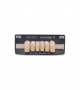 NOVO LIGN A VENEER ANT T35 LOWER C2 6 pc ASST 33, 32, 31, 41, 42, 43