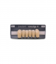 NOVO LIGN A VENEER ANT T35 LOWER C4 6 pc ASST 33, 32, 31, 41, 42, 43