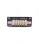 NOVO LIGN A VENEER ANT T35 LOWER D2 6 pc ASST 33, 32, 31, 41, 42, 43