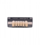 NOVO LIGN A VENEER ANT T35 LOWER D3 6 pc ASST 33, 32, 31, 41, 42, 41
