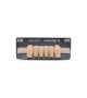 NOVO LIGN A VENEER ANT T35 LOWER D4 6 pc ASST 33, 32, 31, 41, 42, 43
