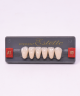 W00LA1 - WIEDENT ESTETIC LOWER ANTERIORS SHADE A1