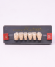 WIEDENT ESTETIC LOWER ANTERIORS SHADE A2