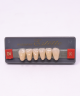 WIEDENT ESTETIC LOWER ANTERIORS SHADE D4
