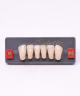 WIEDENT ESTETIC LOWER ANTERIORS SHADE A1