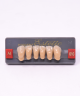 WIEDENT ESTETIC LOWER ANTERIORS SHADE A4