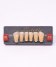 WIEDENT ESTETIC LOWER ANTERIORS SHADE B3