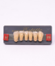 WIEDENT ESTETIC LOWER ANTERIORS SHADE B4