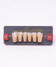 WIEDENT ESTETIC LOWER ANTERIORS SHADE C2