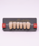 WIEDENT ESTETIC LOWER ANTERIORS SHADE D2