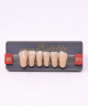 WIEDENT ESTETIC LOWER ANTERIORS SHADE D3