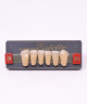 WIEDENT ESTETIC LOWER ANTERIORS SHADE D4