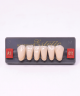 WIEDENT ESTETIC LOWER ANTERIORS SHADE A1