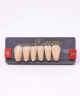 WIEDENT ESTETIC LOWER ANTERIORS SHADE A2