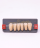 WIEDENT ESTETIC LOWER ANTERIORS SHADE A3