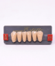 WIEDENT ESTETIC LOWER ANTERIORS SHADE A3.5