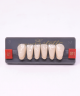 WIEDENT ESTETIC LOWER ANTERIORS SHADE B1