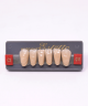 WIEDENT ESTETIC LOWER ANTERIORS SHADE C3