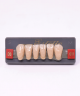 WIEDENT ESTETIC LOWER ANTERIORS SHADE D3