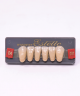 WIEDENT ESTETIC LOWER ANTERIORS SHADE D4