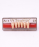 WIEDENT ESTETIC LOWER ANTERIORS SHADE A3.5