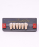 WIEDENT ESTETIC LOWER ANTERIORS SHADE C1