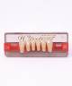 WIEDENT ESTETIC LOWER ANTERIORS SHADE D4