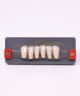 WIEDENT ESTETIC LOWER ANTERIORS SHADE A1