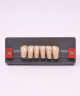 WIEDENT ESTETIC LOWER ANTERIORS SHADE A2