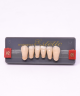 WIEDENT ESTETIC LOWER ANTERIORS SHADE A2