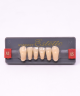 WIEDENT ESTETIC LOWER ANTERIORS SHADE A3