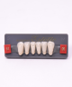 WIEDENT ESTETIC LOWER ANTERIORS SHADE B1