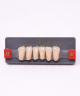 WIEDENT ESTETIC LOWER ANTERIORS SHADE A2