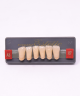 WIEDENT ESTETIC LOWER ANTERIORS SHADE A3