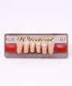 WIEDENT ESTETIC LOWER ANTERIORS SHADE C2