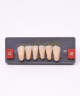 WIEDENT ESTETIC LOWER ANTERIORS SHADE A2