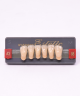 WIEDENT ESTETIC LOWER ANTERIORS SHADE A3