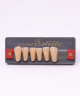 WIEDENT ESTETIC LOWER ANTERIORS SHADE A4