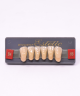 WIEDENT ESTETIC LOWER ANTERIORS SHADE B4