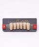 WIEDENT ESTETIC LOWER ANTERIORS SHADE D4