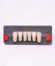 WIEDENT ESTETIC LOWER ANTERIORS SHADE A1