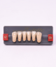 WIEDENT ESTETIC LOWER ANTERIORS SHADE A2