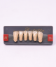 WIEDENT ESTETIC LOWER ANTERIORS SHADE A3