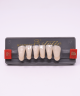 WIEDENT ESTETIC LOWER ANTERIORS SHADE B1