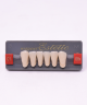 WIEDENT ESTETIC LOWER ANTERIORS SHADE C1