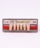 WIEDENT ESTETIC LOWER ANTERIORS SHADE C2